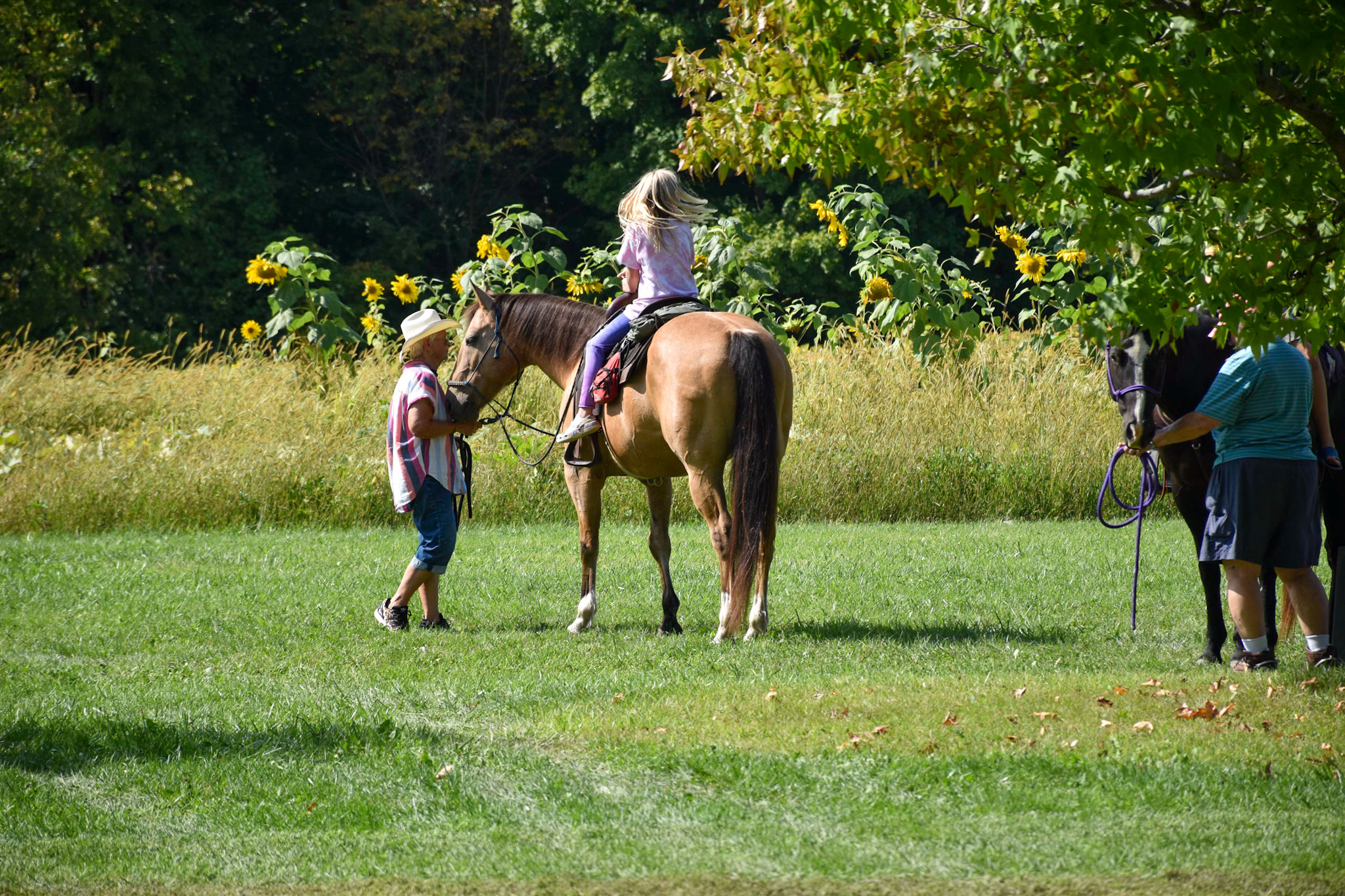 horseback riding